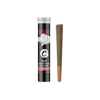 Cookies - THCA Pre-Roll Fish Scale 1g