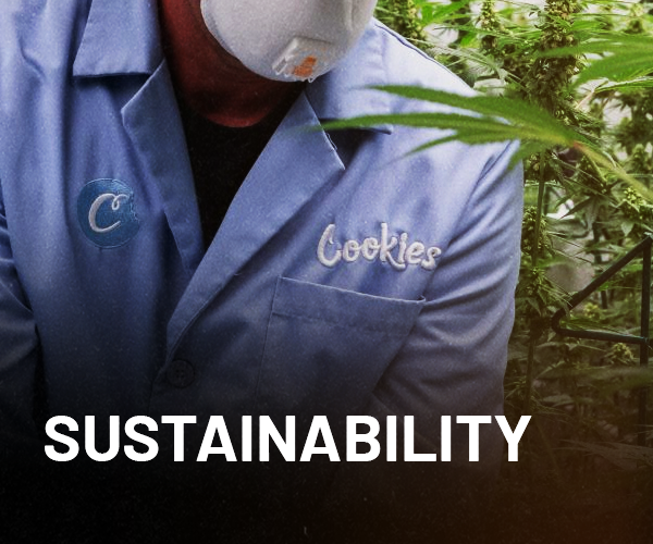Cookies Hemp | Premium CBD Flowers, Pre-Rolls & Vapes Cookies Hemp | Premium CBD Flowers, Pre-Rolls & Vapes